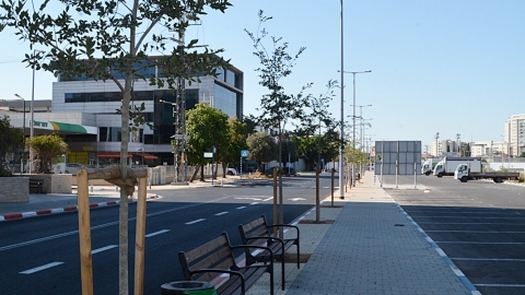 אלכסנדרוני 2.JPG