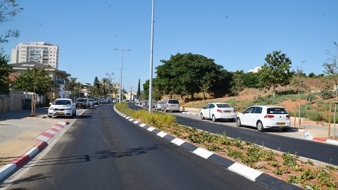 אלכסנדרוני 4.JPG