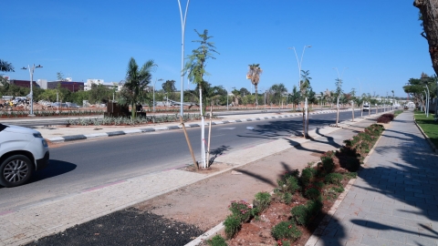 יגאל אלון.JPG