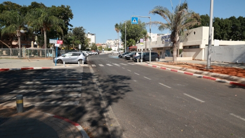 לו סקלאר 1.JPG