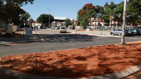 לו סקלאר 2.JPG